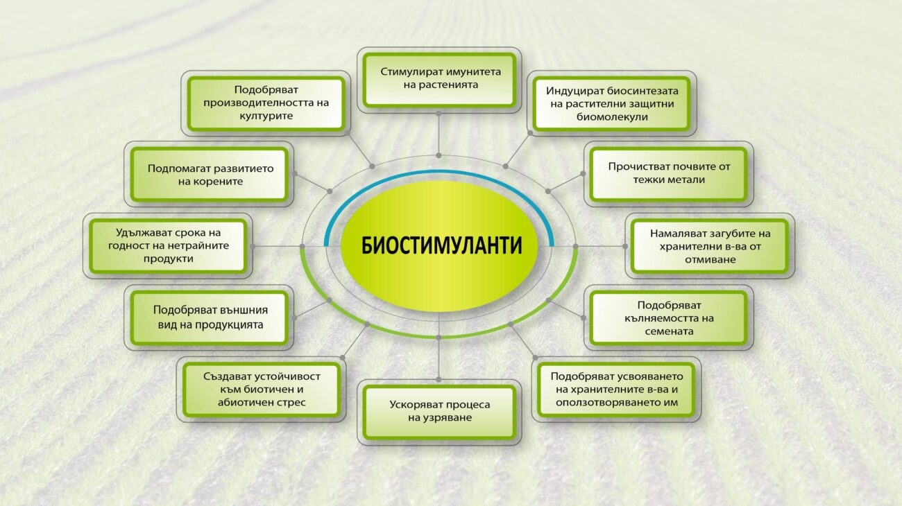 Биостимуланти