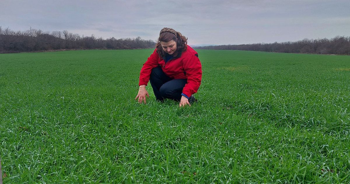 biostimulanti Биостимуланти през зимата