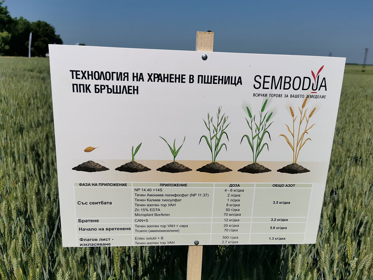 Разбрахте ли за Сембодиа? Оптимални количества тор, максимум продукция