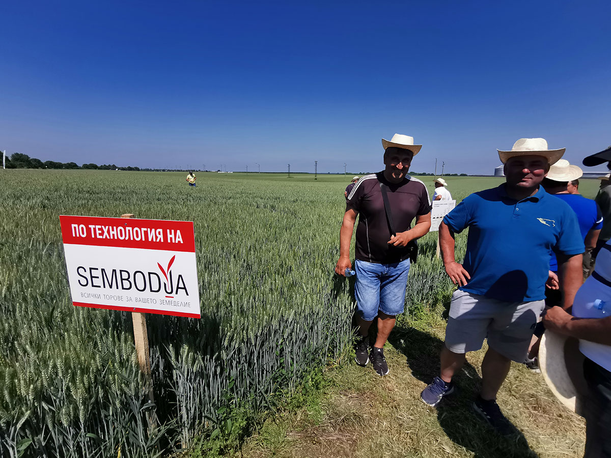 Разбрахте ли за Сембодиа? Оптимални количества тор, максимум продукция