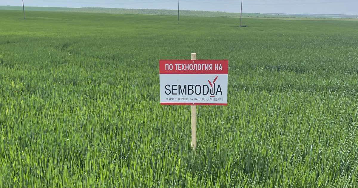 Разбрахте ли за Сембодиа? Оптимални количества тор, максимум продукция Разбрахте ли за Сембодиа? Оптимални количества тор, максимум продукция