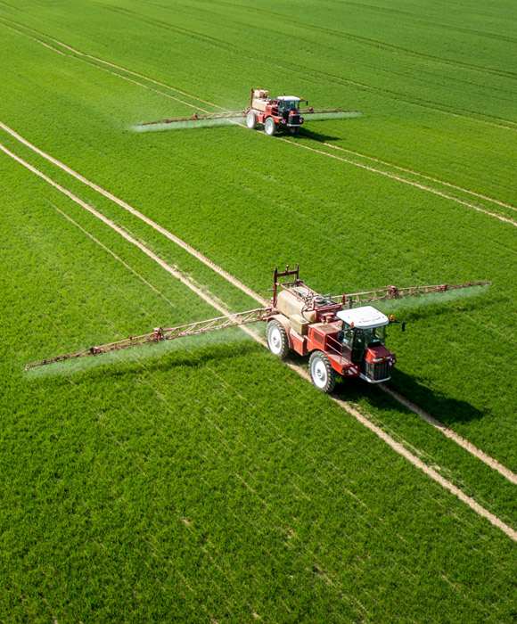 sembodja СЕМБОДИА