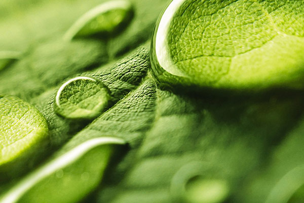 vodoraztvorimi-torove-03 Водоразтворими торове